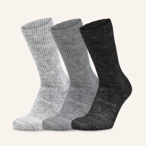 Calza Corta in Alpaca per Donna | Tinta Unita | Confezione da 3 paia | Alpa 1:1 DC