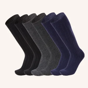 Calza Lunga in Lana per Uomo | Tinta Unita | Confezione da 6 paia | Woolife UL